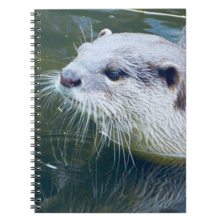 Otter-Notizbuch Notizblock