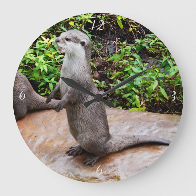 Otter Parle De Grande Horloge De Mur Ronde. (Recto)