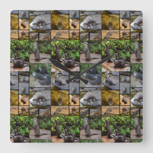 Otter Photo Collage, Horloge murale Carré.