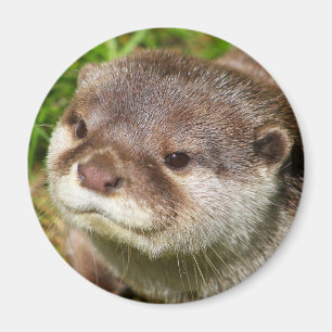 Otter Portrait Magnet