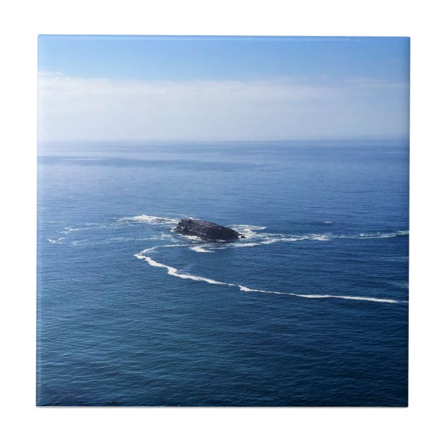 Otter Rock, Cape Foulweather, Newport, Oregon Fliese (Vorderseite)