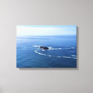 Otter Rock, Cape Foulweather, Newport, Oregon Leinwanddruck