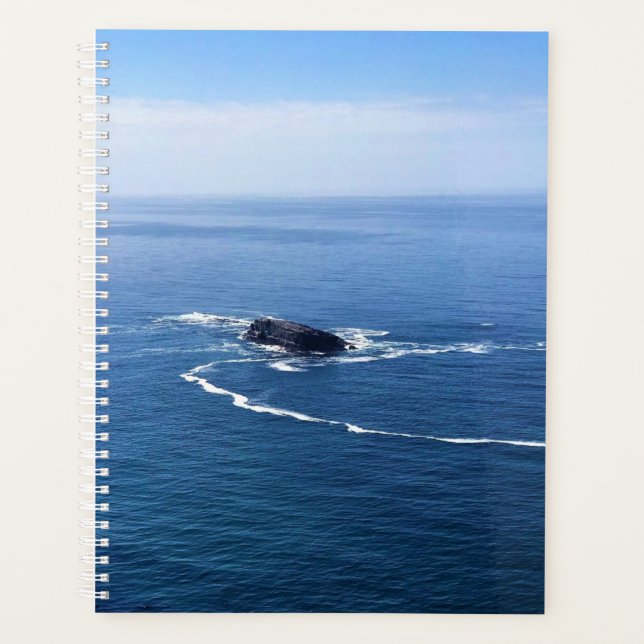 Otter Rock, Cape Foulweather, Newport, Oregon Planer (Vorderseite)