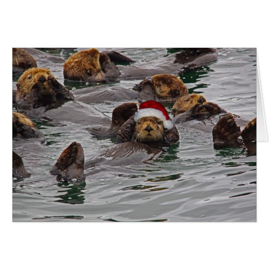 Otter-Sankt-Weihnachtskarte Karte