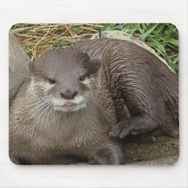 Otter-stillstehende Mausunterlage Mousepad (Vorne)