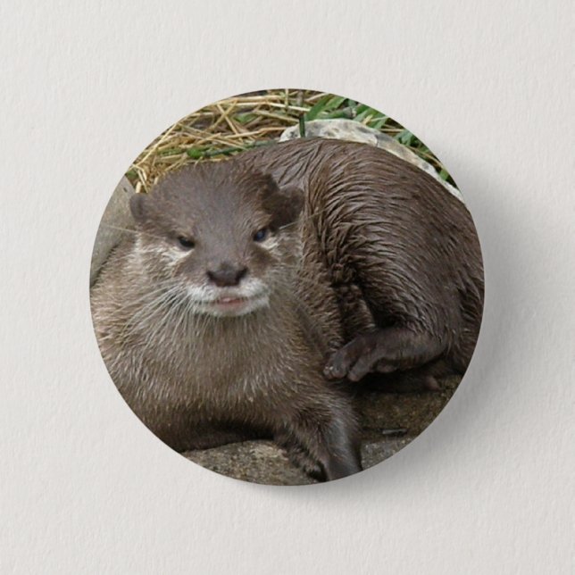Otter-stillstehender Knopf Button (Vorderseite)