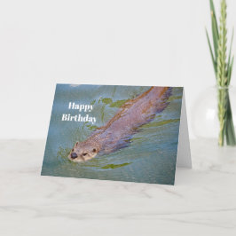 Otter Swimming Wildlife Foto Geburtstag Karte