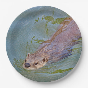 Otter Swimming Wildlife Foto Pappteller