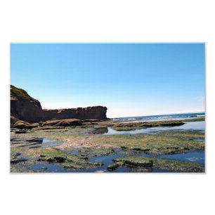 Otter Wappen Beach Oregon Fotodruck