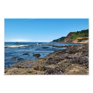 Otter Wappen Beach Oregon Fotodruck
