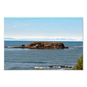 Otter Wappen Beach Oregon Fotodruck