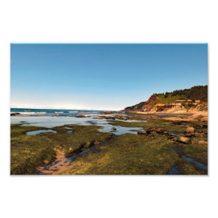 Otter Wappen Beach Oregon Fotodruck