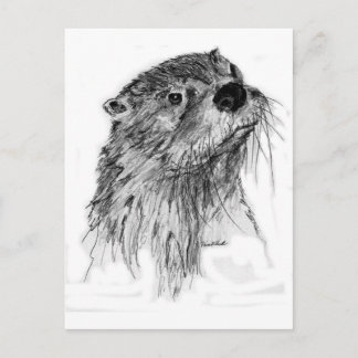 Otter Whiskers Postkarte