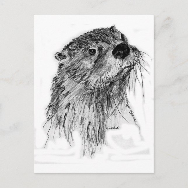 Otter Whiskers Postkarte (Vorderseite)