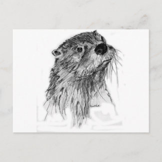 Otter Whiskers Postkarte