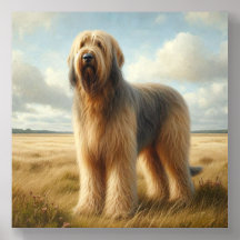 Otterhound
