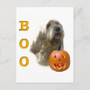 Otterhound Halloween BOO Postkarte
