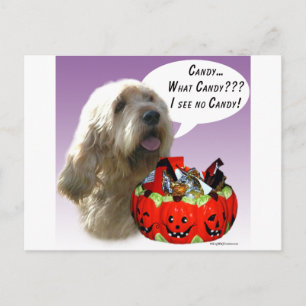 Otterhound Halloween Candy Postkarte
