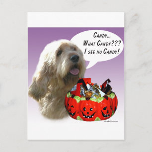 Otterhound Halloween Candy Postkarte
