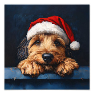 Otterhound in einer Weihnachtsmannmütze Fotodruck