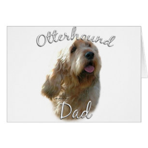 Otterhound Papa 2