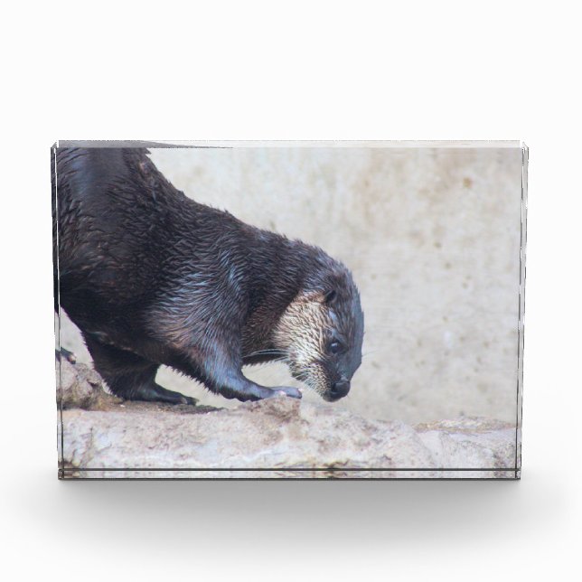 Otterky Fotoblock (Vorderseite)
