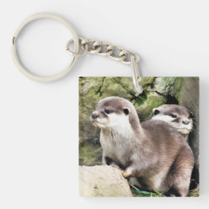 OTTERS