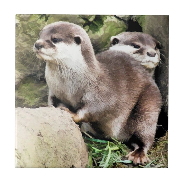 OTTERS FLIESE (Vorderseite)