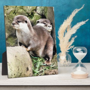 OTTERS FOTOPLATTE