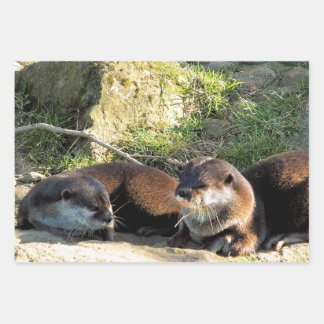 OTTERS GESCHENKPAPIER SET