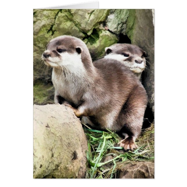 OTTERS-KARTE (Vorne)
