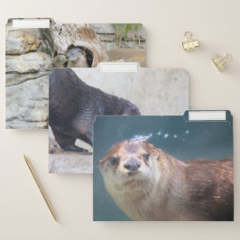 Otters Papiermappe