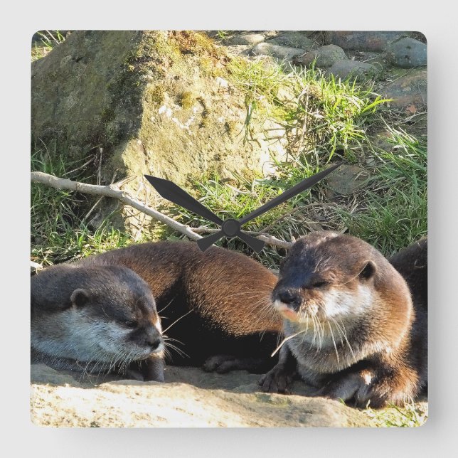 OTTERS QUADRATISCHE WANDUHR (Vorderseite)