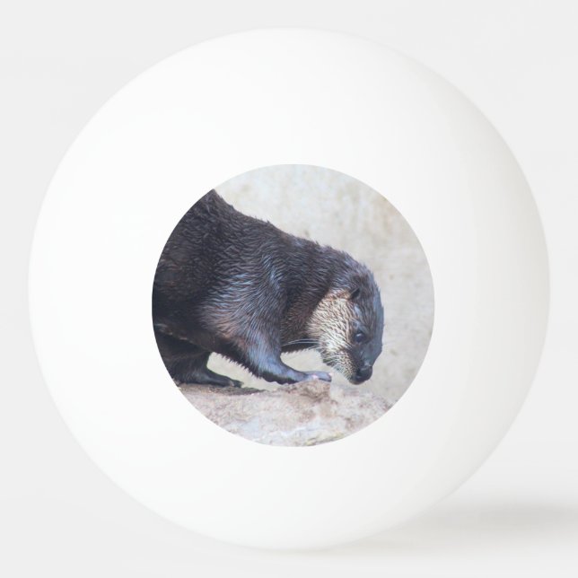 Otters Tischtennisball (Vorderseite)