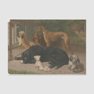 Otto Bache Hunde nicht erlaubt Seidenpapier