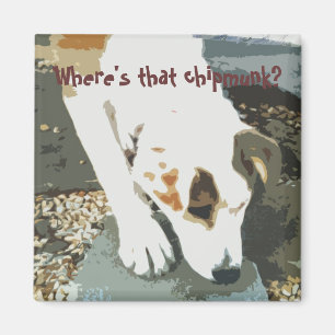 Où est ce chipmunk ? Magnet