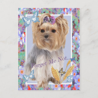 Oublie-moi pas les cartes Yorkie