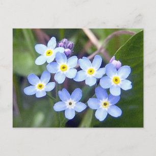 Oubliez-moi les cartes postales 2