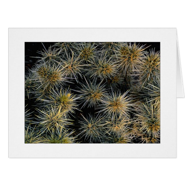 "Ouch Cluster" (Vorderseite (Horizontal))