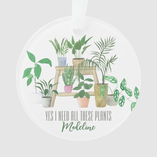 Oui, j'ai besoin de toutes ces aquarelles plantes (devant)