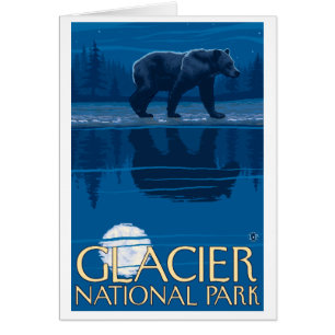 Ours au clair de lune - Parc national des Glaciers
