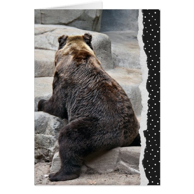 Ours d'anniversaire rétrograde (Devant)