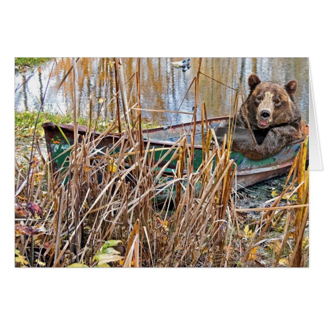 Ours de Dieu (Devant horizontal)