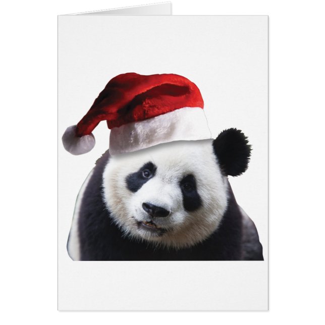 Ours de panda Noël (Devant)