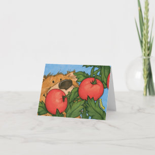 Ours de tomate / Carte de note