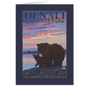 Ours et CUB - parc national de Denali, Alaska