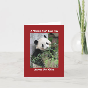 Ours géant de Merci Panda serré dans les kilomètre