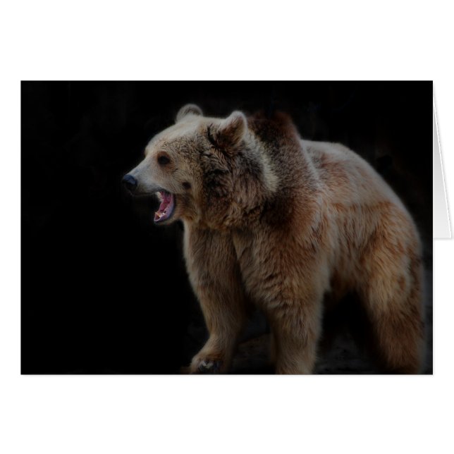 Ours Grumpy ! (Devant horizontal)