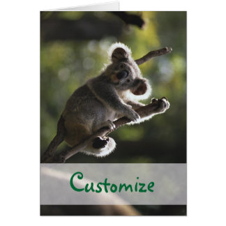 Ours Koala Absolument adorable