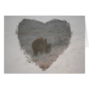 Ours marchant au coucher du soleil